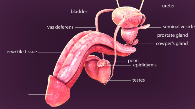 What is hard flaccid syndrome?